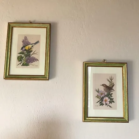 Apartment Il Giuggiolo